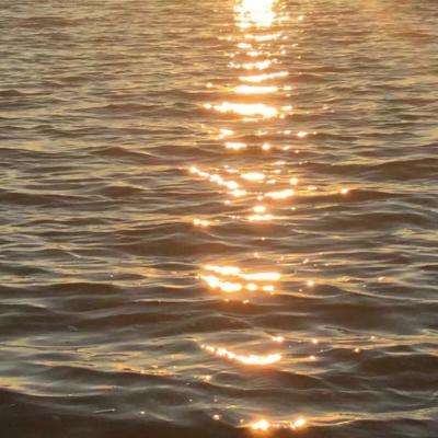 上下分的捕鱼appapp下载